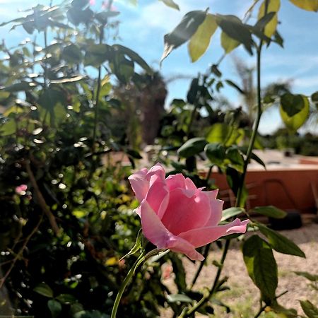Guesthouse En Coveta Fuma- El Campello Kültér fotó