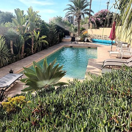 Guesthouse En Coveta Fuma- El Campello Kültér fotó