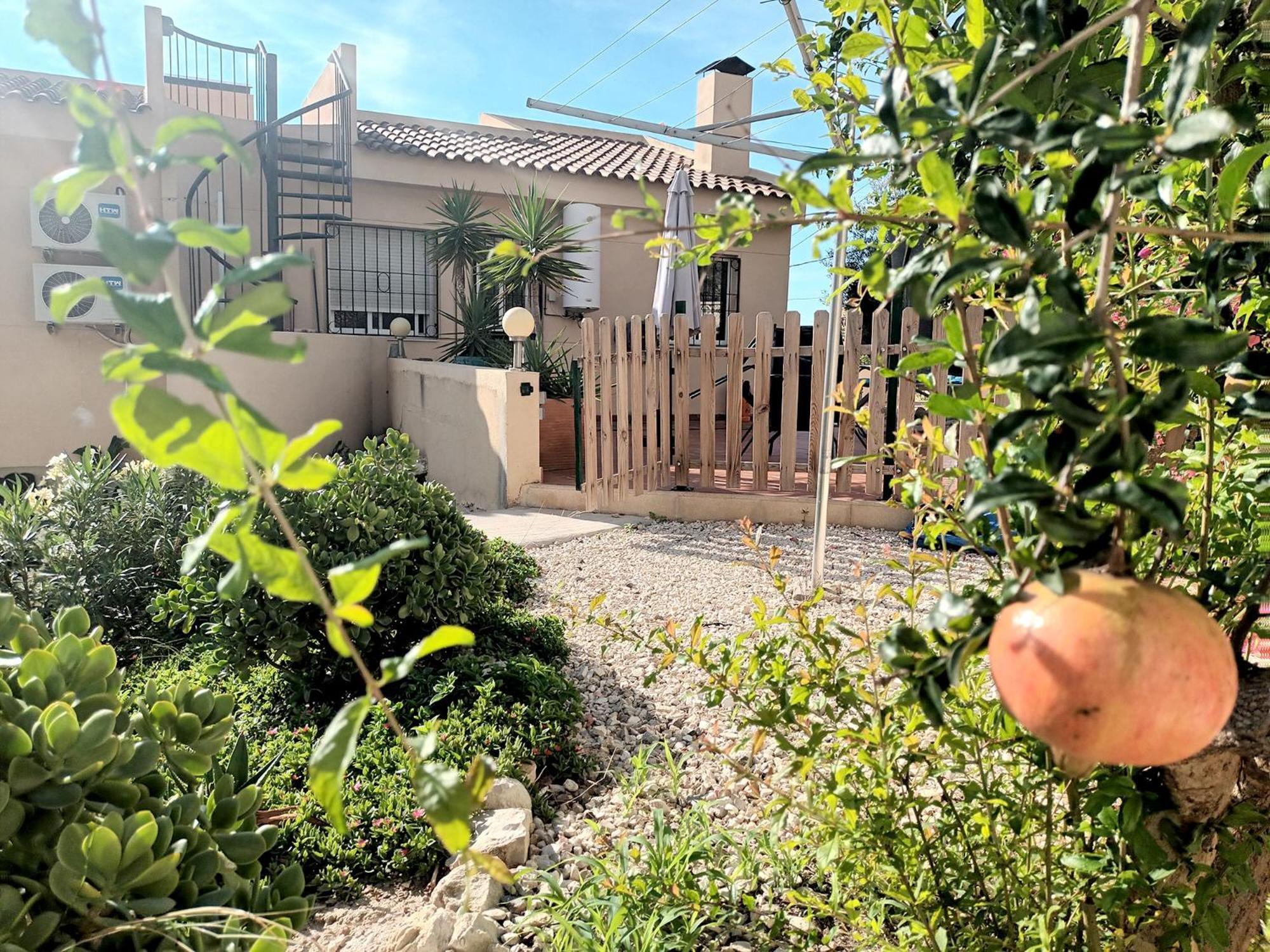 Guesthouse En Coveta Fuma- El Campello Kültér fotó