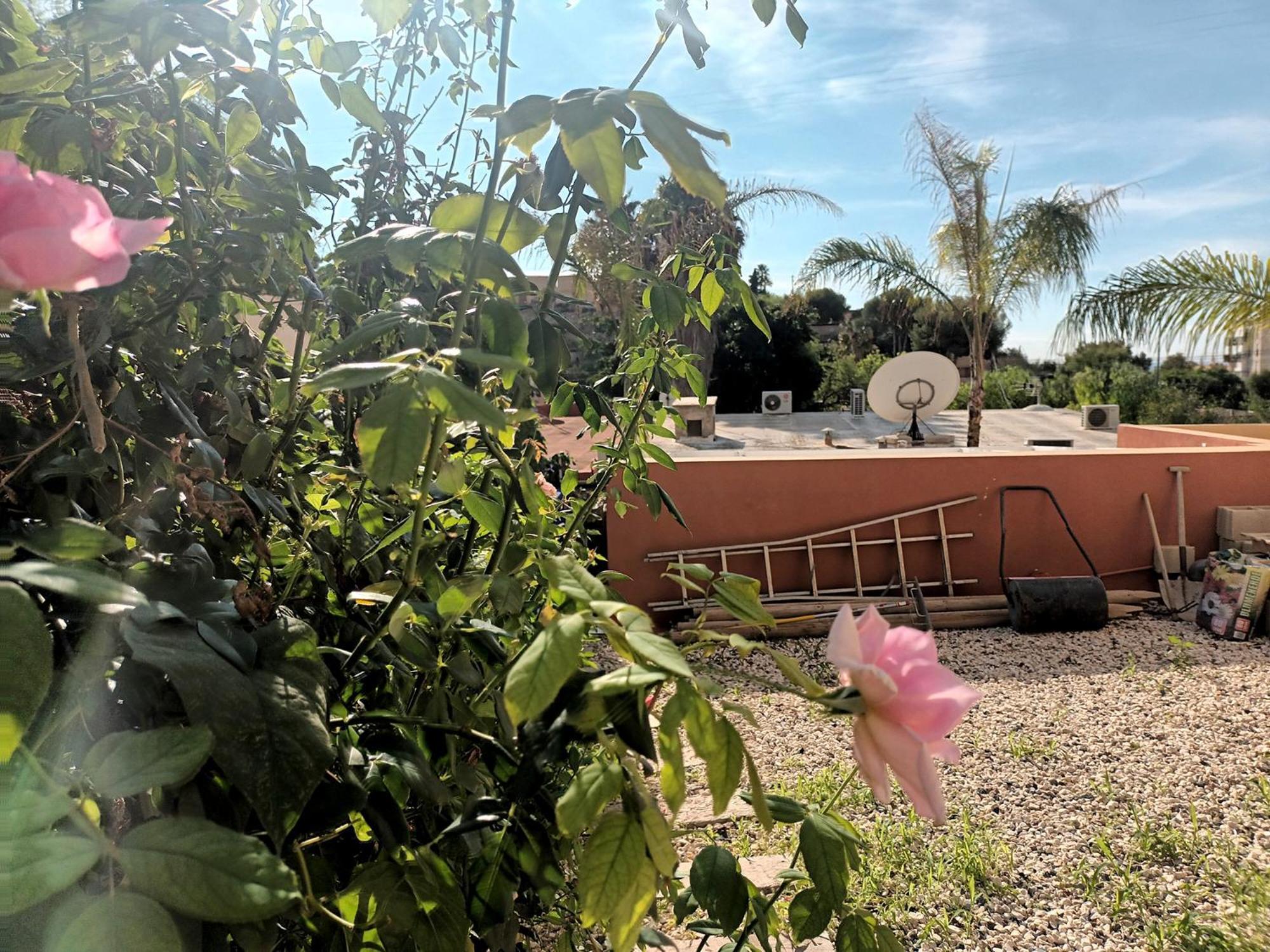 Guesthouse En Coveta Fuma- El Campello Kültér fotó